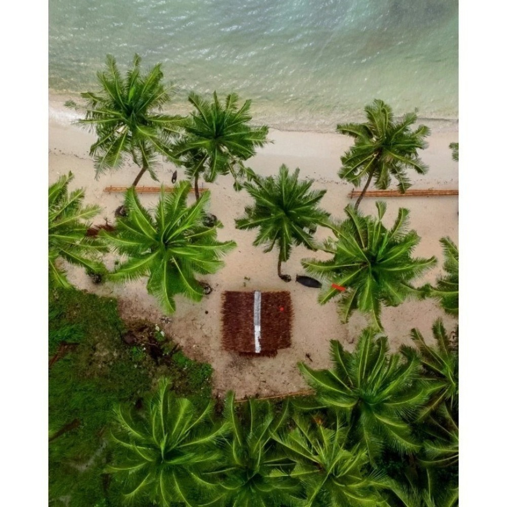 Dreamist Coconut Beach EDT | Sand+Fog - Picture 2 of 2